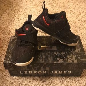 Nike Lebron XIV Shoes
